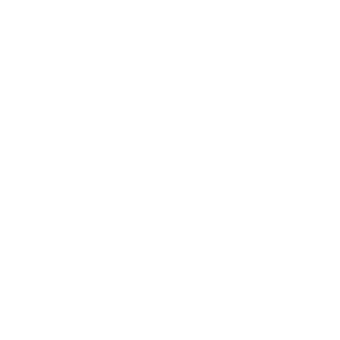 sv(5)